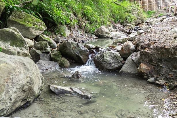 施設内を流れる小川のせせらぎが心地いい