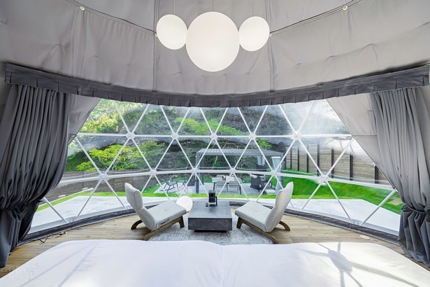 客室からは自然豊かな景色が望める