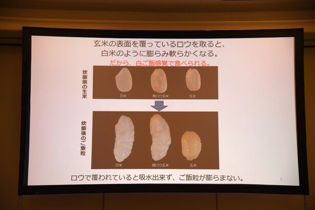 玄米、脱ロウ玄米、白米の比較