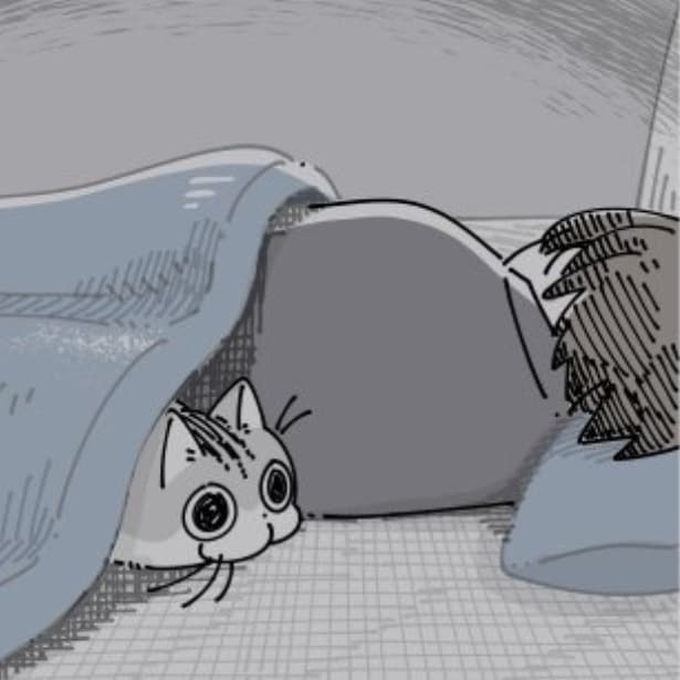 飼い主の布団に入って寝る猫