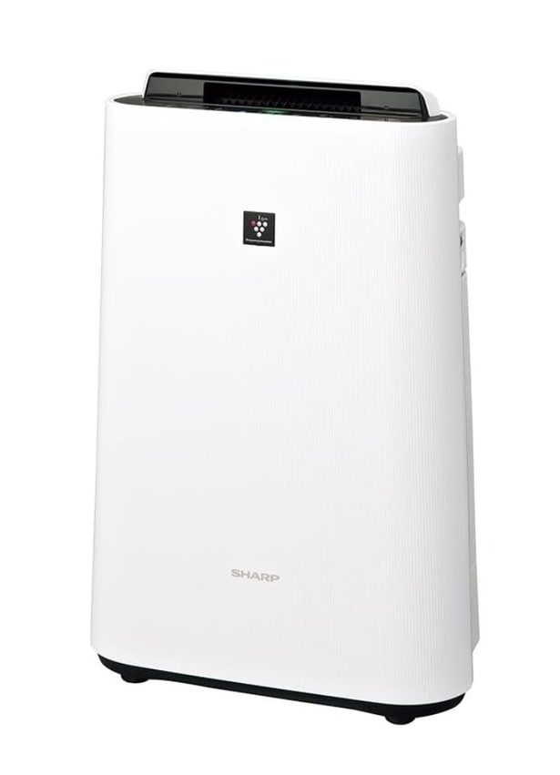 花粉にも乾燥にも強い。空気を整えるシャープの定番モデル【シャープ】の空気清浄機がAmazonに登場中‼