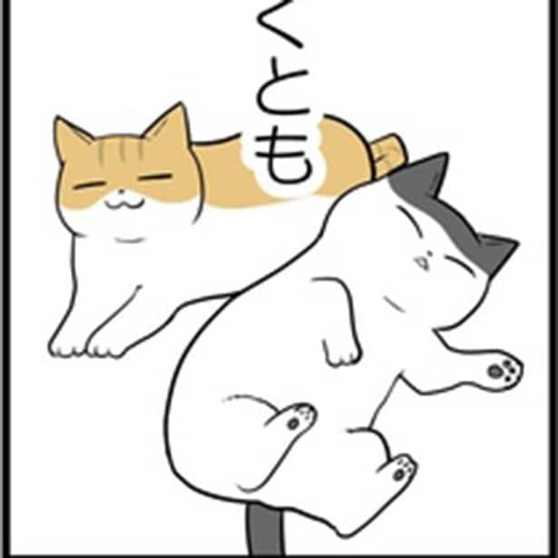 【ねこ漫画】飼い猫が見せた奇妙な行動の正体は？「猫の成長を感じられてラッキー」猫愛あふれる日常エッセイ【作者に聞く】