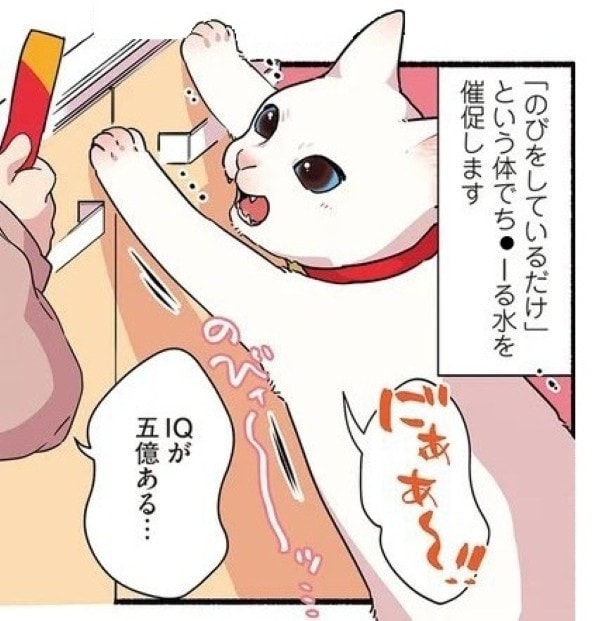 ごはんをもらうためなら小さな頭の中をフル回転！