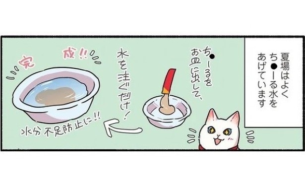 当たり屋してくる猫_P01