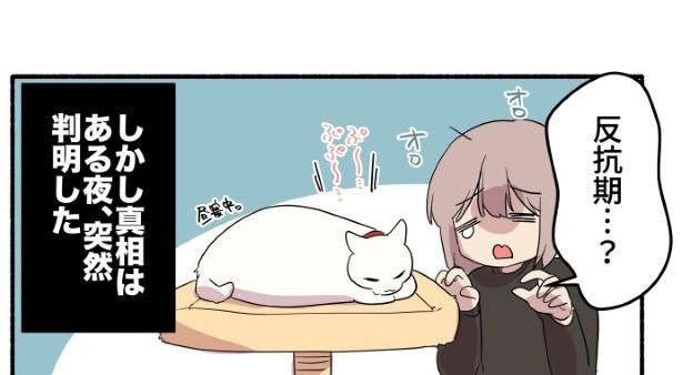 反抗期を迎えたかもしれないと気が気じゃない飼い主をよそにスヤスヤ