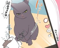 【ねこ漫画】うちの猫が反抗期!?「机の上にものを置く人間が悪く、猫様は悪くない」「反抗期でも猫はよき」の声【作者に聞く】