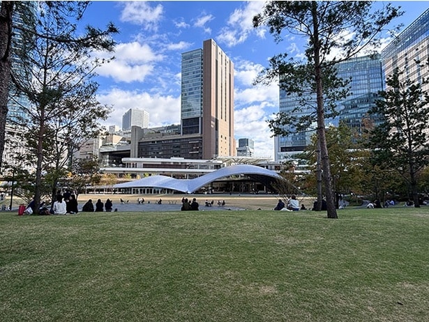 都会のビルを眺めながら芝生に寝転がれる