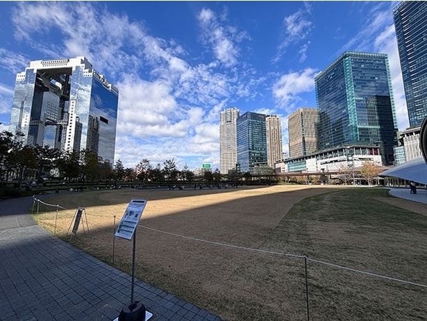 うめきた公園の芝生(撮影時は養生日)