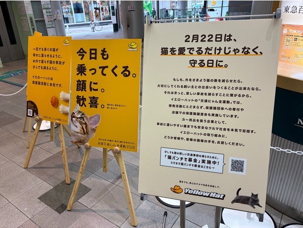 「猫の日」にかけるイエローハットの想い