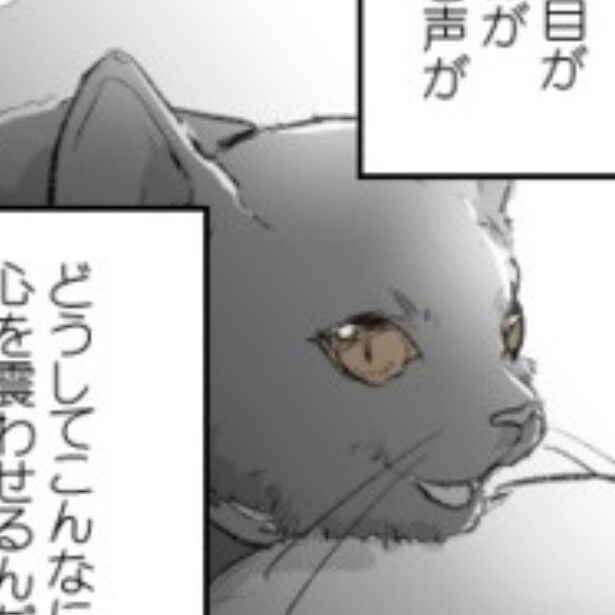 猫と子と母