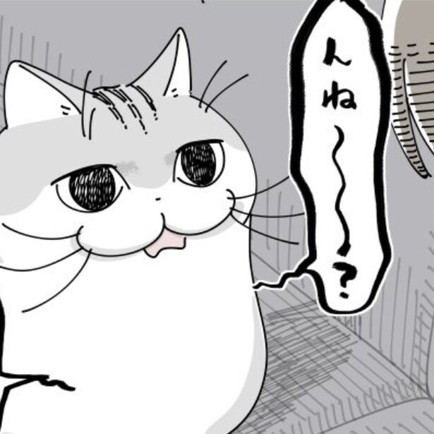 【ネコ漫画】飼い主のくしゃみに文句を言う愛猫!?その姿に「猫飼いあるあるですねｗ」などの共感コメント多数