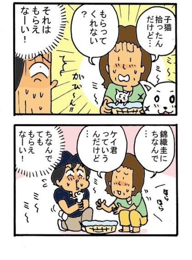 「いただきもの2」02
