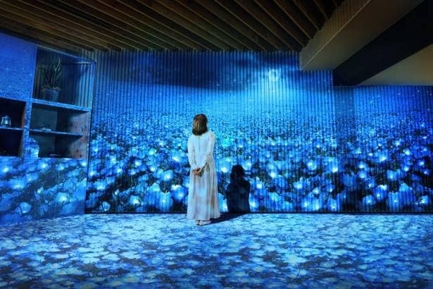 530万本の絶景とリンクする青の世界！「BEB5土浦  by 星野リゾート」で楽しむネモフィラ体験とは？