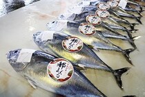 赤身もトロも一切れで！京都の新名物「都まぐろ」と、天橋立ごほうび旅