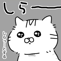 猫は飼い主に似る!?人に見られると動きが止まる猫…飼い主も同じタイプで「お料理教室とか絶対ムリ!!」【作者に聞く】