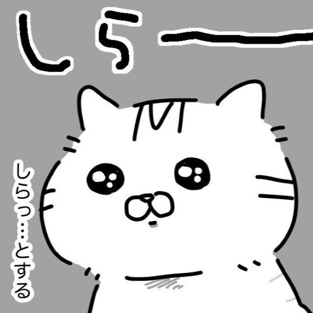 猫は飼い主に似る!?人に見られると動きが止まる猫…飼い主も同じタイプで「お料理教室とか絶対ムリ!!」【作者に聞く】