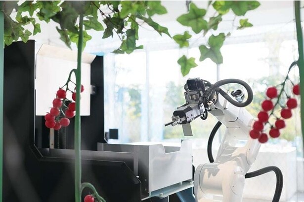 「自動で収穫できるなんて、びっくり！」(青木さん)