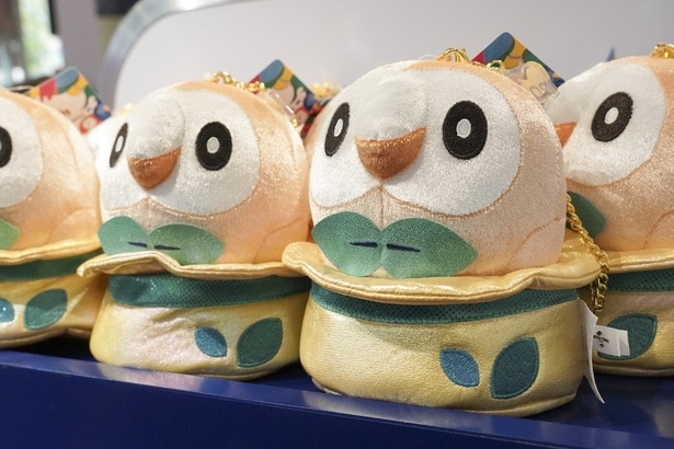 ぷっくりしたくちばしがキュートなモクロー