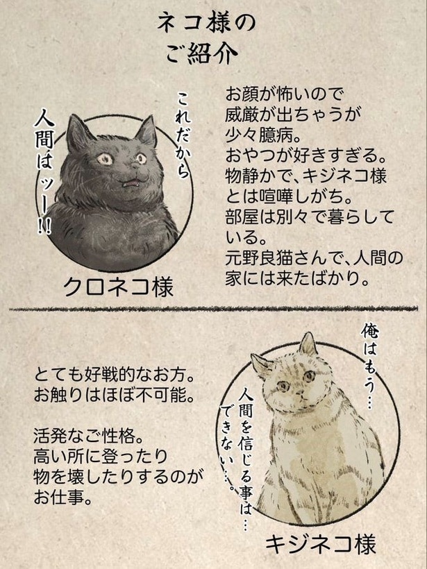 ネコだよッ！！