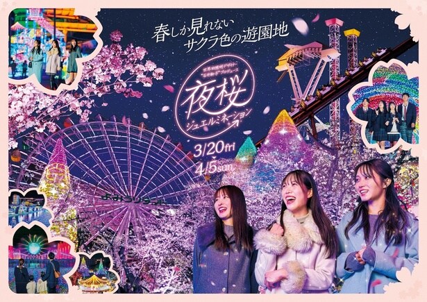 幻想的な桜のライトアップ×宝石色イルミネーション「夜桜ジュエルミネーション」