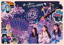 幻想的な桜のライトアップ×宝石色イルミネーション！よみうりランドで「夜桜ジュエルミネーション」開催