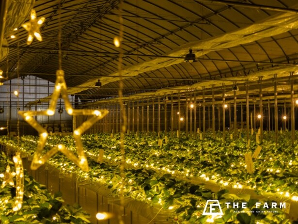 夜空をイメージしたイルミネーション