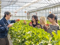 “いちご狩り無料”にグランピング、BBQ、温泉、サウナまで!!「THE FARM星空いちご園」に、3月平日なら学生証提示で一日遊べる「学生応援プラン」登場