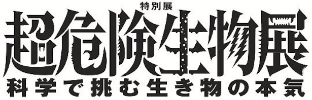 会期は2026年3月14日(土)~6月14日(日)