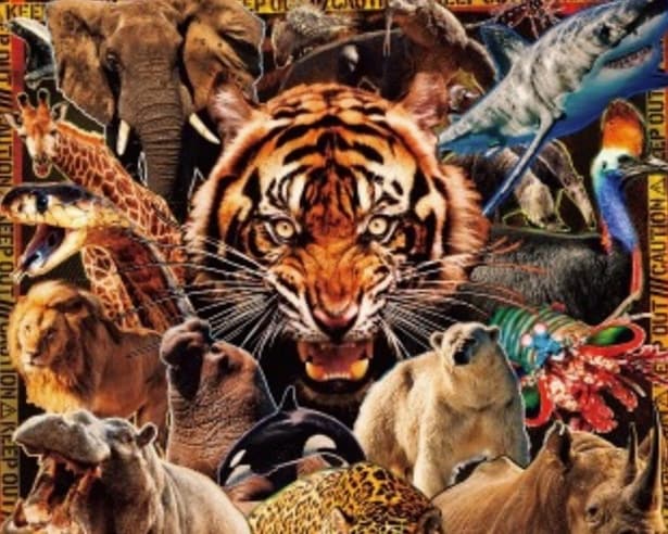 特別展『超危険生物展 科学で挑む生き物の本気』!巨大ワニから猛毒生物まで“本気”を科学で解明