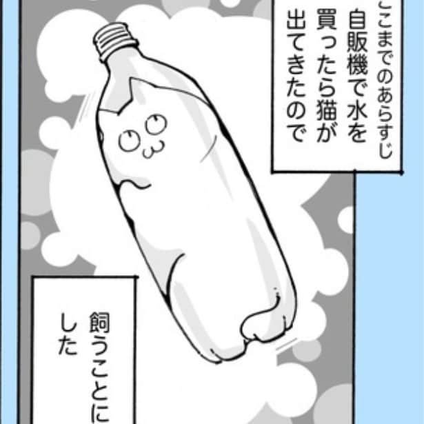 名称未設定の水のペットボトルに入っていたのは文字通りの「液体猫」!?自販機から出てきた猫との日々が愛おしいデザイン