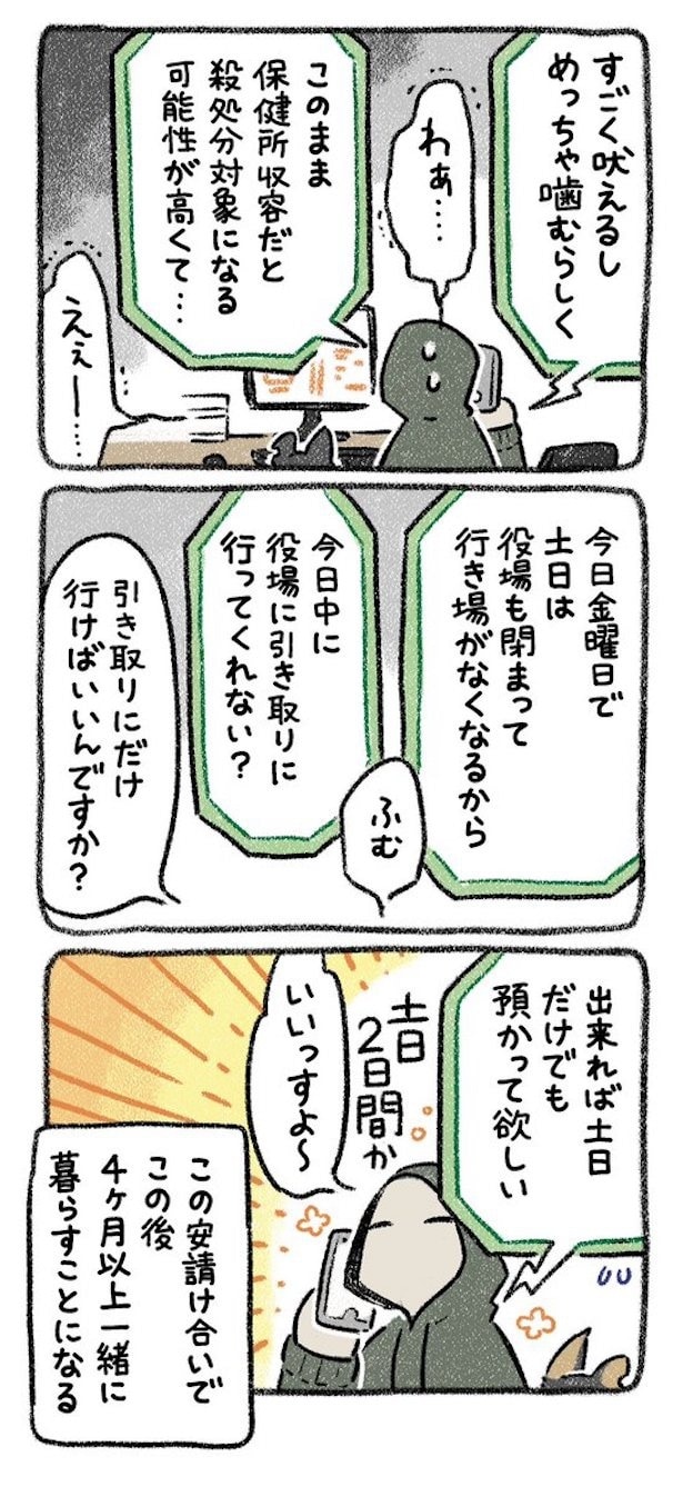 保護犬茶々のお話【第1話】(2)