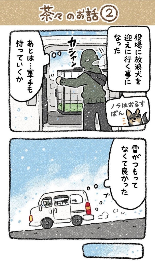 保護犬茶々のお話【第2話】(1) 