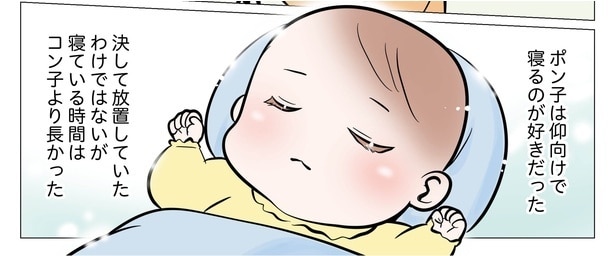 【実話】赤ちゃんの絶壁頭は放置していいの？「短頭症」と「斜頭症」を併発した双子の娘を救ったヘルメット治療【作者に聞く】