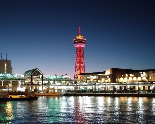 タワー六兄弟で唯一の入館料無料！コンパクトシティ・福岡を一望する末っ子「博多ポートタワー」の魅力に迫る【無料展望室シリーズvol.13】