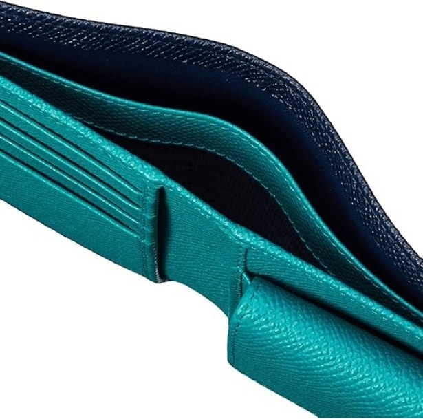 71ufY9Y9xEL._AC_SX500_