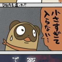 「この証拠で死刑判決ですよ…？」実際にあった冤罪事件を弁護士視点で描く！誤った捜査で人生が崩壊【作者に聞く】