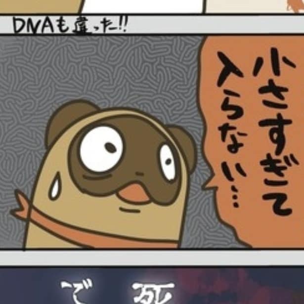 「この証拠で死刑判決ですよ…？」実際にあった冤罪事件を弁護士視点で描く！誤った捜査で人生が崩壊【作者に聞く】