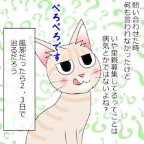猫好き必見!!「かわいすぎる」保護猫との尊い日常に頬がゆるむ！リアルでクスッと笑える癒やし漫画【作者に聞く】