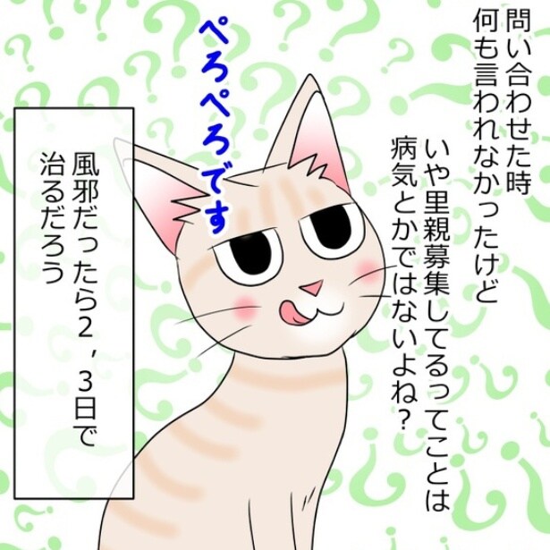 猫好き必見!!「かわいすぎる」保護猫との尊い日常に頬がゆるむ!リアルでクスッと笑える癒やし漫画【作者に聞く】
