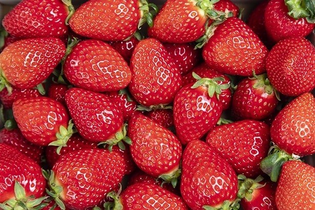 使用するいちごのイメージ