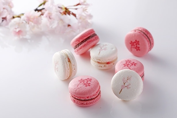 【写真】1箱7個入の「新桜マカロン」