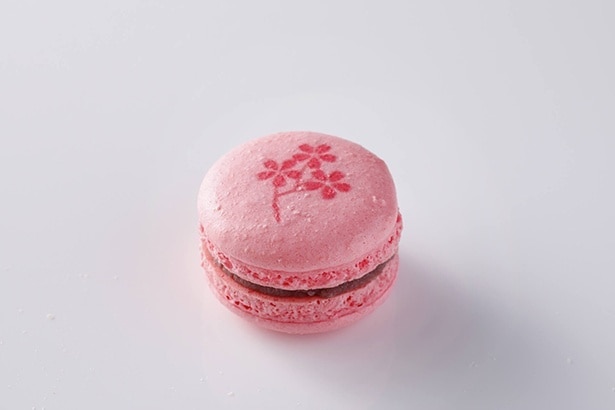 「桜マカロン」