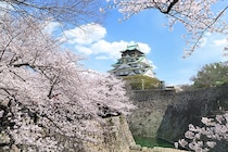 ホテルニューオータニ大阪に春限定“桜スイーツ”登場！マカロンや桜くず餅ゼリーなど華やか3種