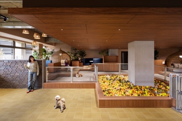 OMOドッグガーデン