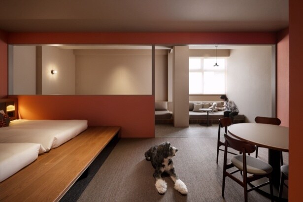 ドッグフレンドリースイート