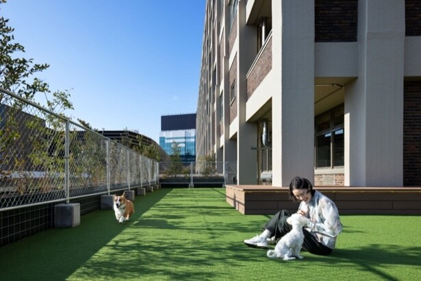 屋外ドッグラン