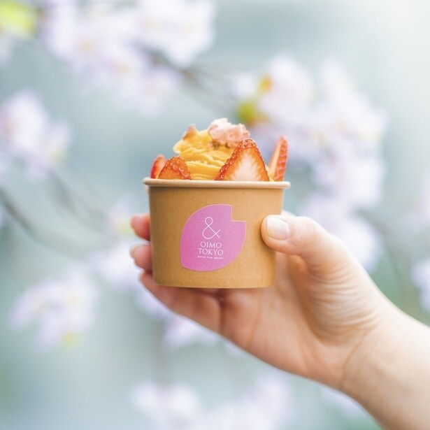 搾りたて蜜芋モンブランソフト〜桜仕立て〜(850円)