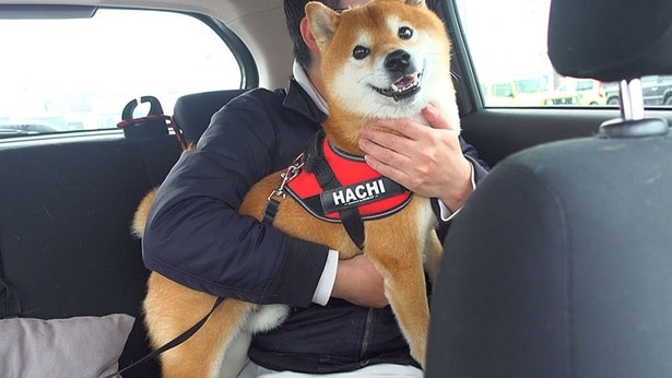 名前が呼ばれるまで、車の中で待つ