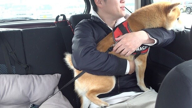 病院に到着して、外の様子をうかがう