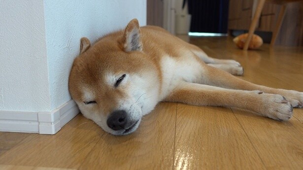 病院お疲れさま！